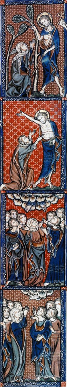 BODLddddEIAN_10310800397